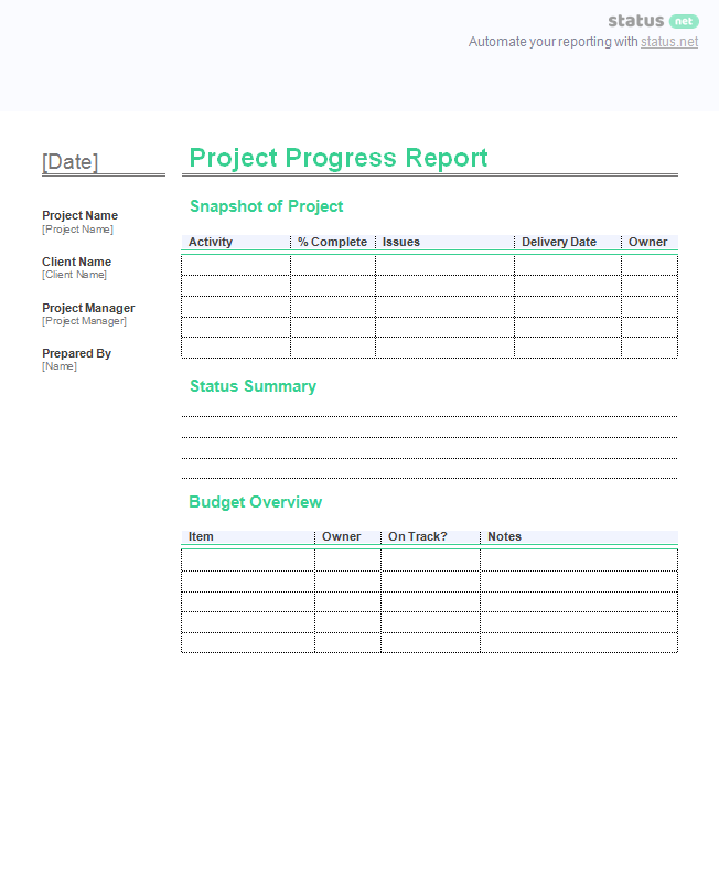 Team Progress Report Template